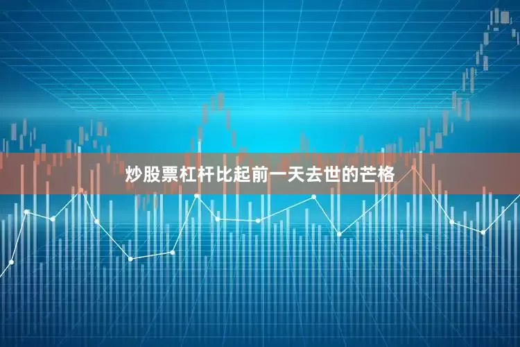 炒股票杠杆比起前一天去世的芒格