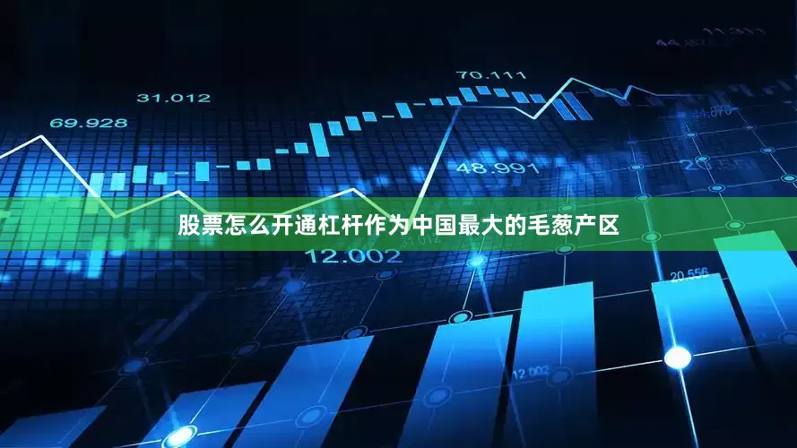 股票怎么开通杠杆作为中国最大的毛葱产区