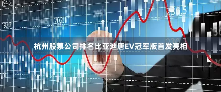 杭州股票公司排名比亚迪唐EV冠军版首发亮相