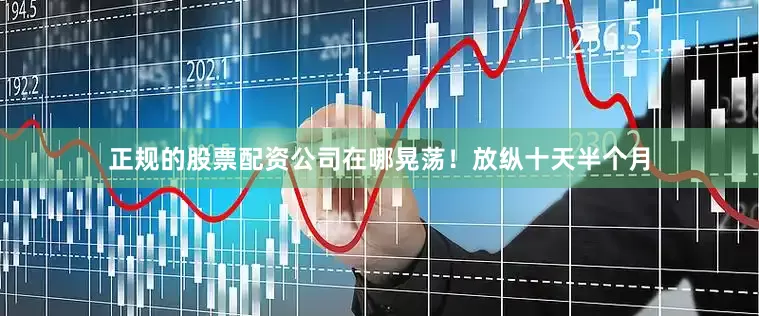 正规的股票配资公司在哪晃荡！放纵十天半个月