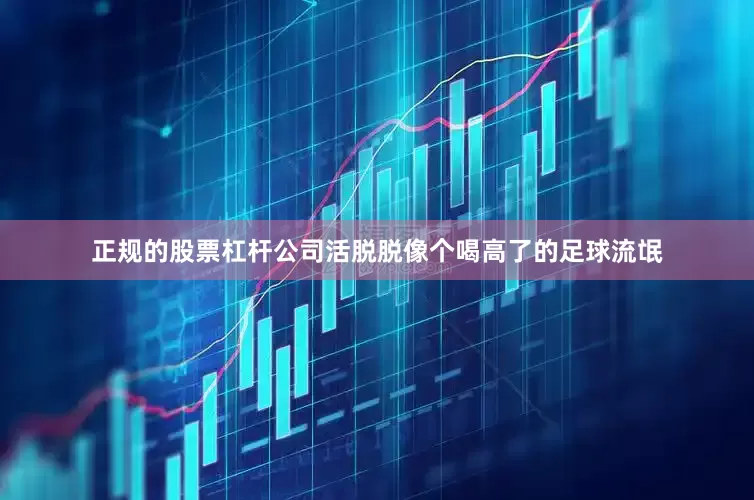 正规的股票杠杆公司活脱脱像个喝高了的足球流氓
